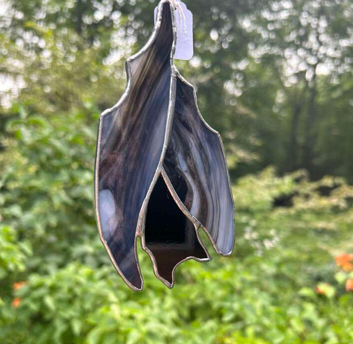 Sleeping bat